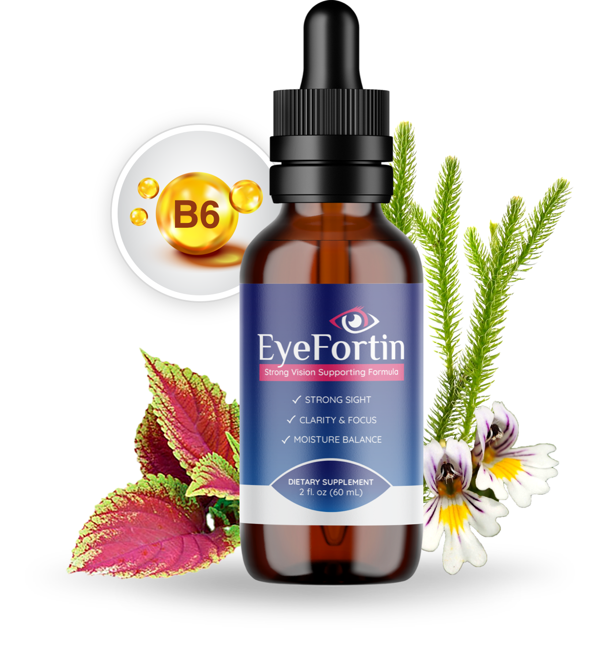 Eye Fortin® | OFFICIAL - Enhance Best Eyesight Vision